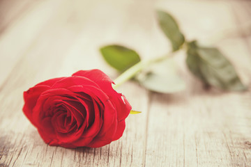 Red rose on wooden background