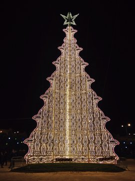 Albero Luminaria Scorrano