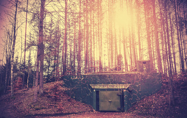 Scary bunker hidden in a forest with surreal colors, Podborsko, Poland.
