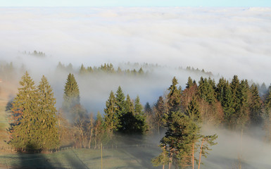 Fototapeta na wymiar Wood on hillside over clouds. Pilatus, Lucerne, Switzerland