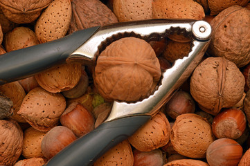 Basket of nuts with nutcracker