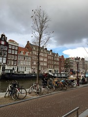 Fototapeta premium Amsterdam e i suoi canali - Olanda