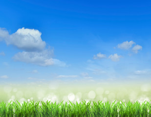 field.Grass and sky.  background