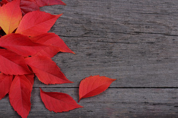 Red leaves on old wooden background