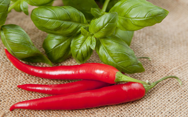branche de basilic sur piments rouge