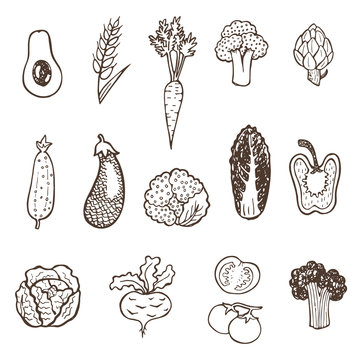 Hand drawn vegetables collection.