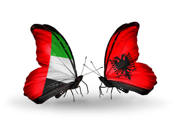 Two butterflies with flags UAE and Albania