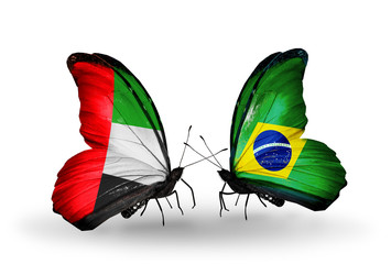 Two butterflies with flags UAE and Brazil