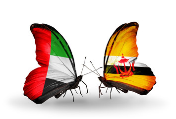 Two butterflies with flags UAE and Brunei