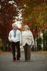 Fototapeta premium Mature couple in the autumn park