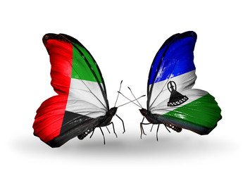 Two butterflies with flags UAE and Laos