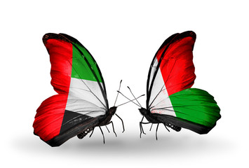 Two butterflies with flags UAE and Madagascar