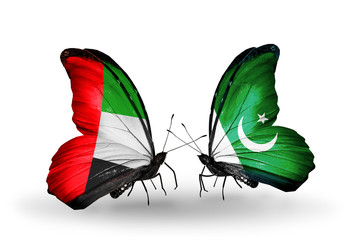 Two butterflies with flags UAE and Pakistan