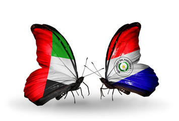 Two butterflies with flags UAE and Paraguay