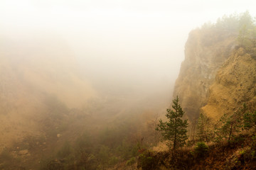 foggy november landscape
