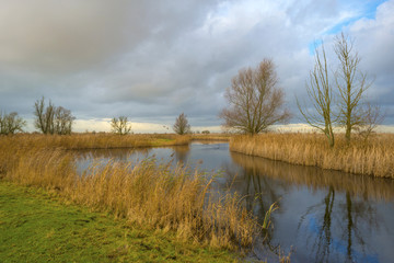 Deteriorating weather over the shore of a river at fall