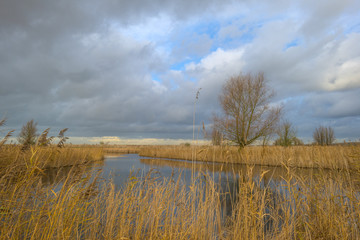 Deteriorating weather over the shore of a river at fall