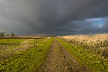 Deteriorating weather over a footpath along reed at fall