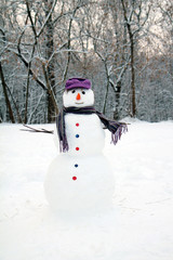 snow man standing close up