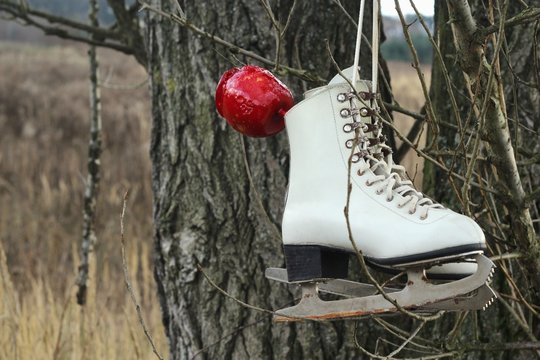 Pair Of White Ice Skates And Red Apple Hanging On The Tree