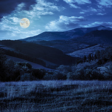 hillside meadow with forest in mountain at night