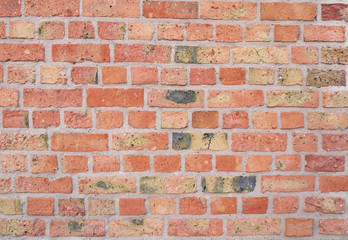 Colorful red brick wall texture
