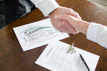 Estate agent shaking hands with his customer