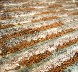Rusted steel roof with tree seeds and bits