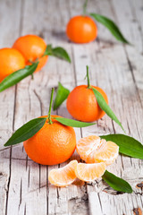 fresh tangerines with leaves