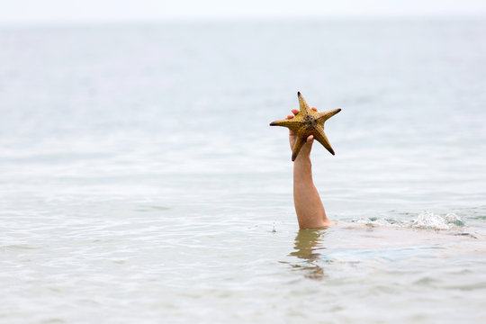 Hand Holding Starfish