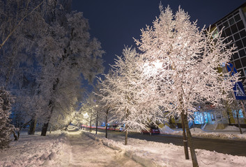 Winter park in the evening covered with snow