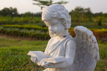 little cupid angel read a book in a garden