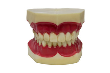 acrylic denture set