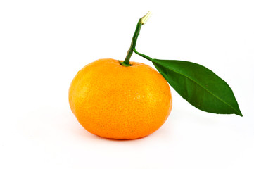 Orange and green leaf