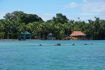 Shore of Carenero island in Bocas del Toro Panama