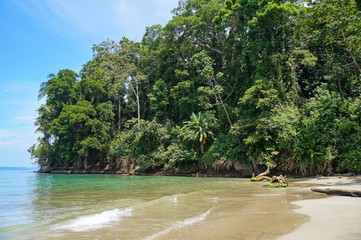 Tropical shore with lush vegetation in Costa Rica