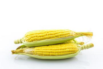 Fresh organic corn .