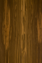 Obraz premium オリーブカスティーリョの板