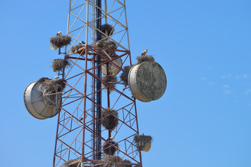 Communications tower blue sky