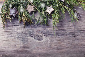 Spruce branches on  wooden background.