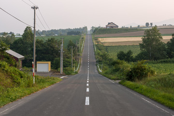 Rollercoaster road in Biei, Japan. Taken under Summer sunset.