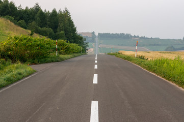 Rollercoaster road in Biei, Japan. Taken under Summer sunset.