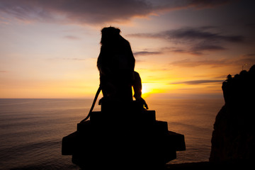 Silhouette monkeys at Uluwatu temple, Bali Indonesia.