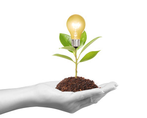 Ideas bulb light in the hand