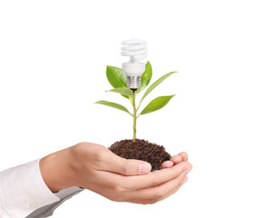 Ideas bulb light in the hand
