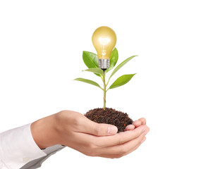 Ideas bulb light in the hand