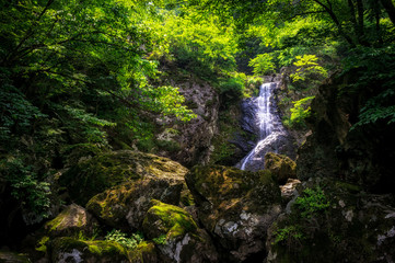 Waterfall over a mossy creek taken in Wanju, South Korea