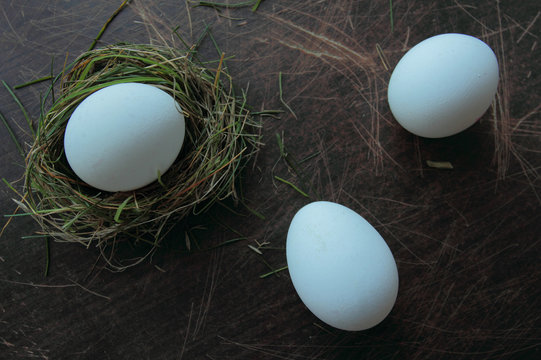 Eco eggs with nest of grass and hay. Organic food concept