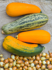 Vegetable marrows 17