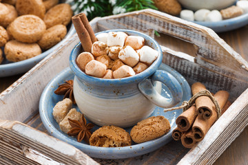 spicy cocoa with marshmallows  and cookies on a wooden tray